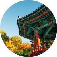 오매광주